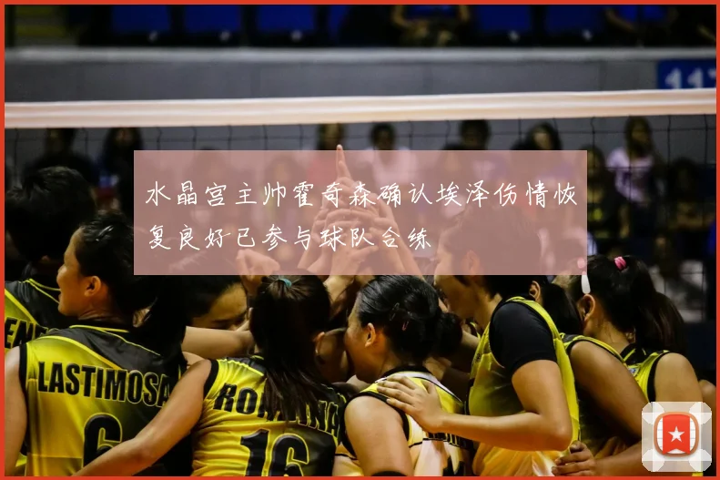 水晶宫主帅霍奇森确认埃泽伤情恢复良好已参与球队合练