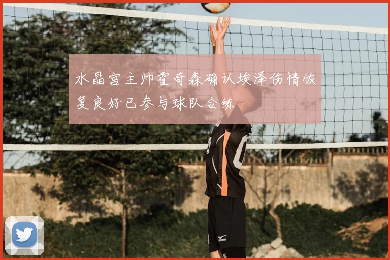 水晶宫主帅霍奇森确认埃泽伤情恢复良好已参与球队合练